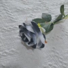 Black and white gradient model