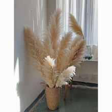 �滨������c���JȔ��ؔ[����Ȕ�쾰�ɻ�ins�L�Ҿӿ͏d���g�b�