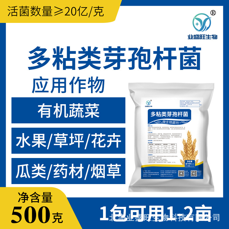 业盛旺多粘类芽孢杆菌软腐病青枯病黄瓜细菌性角斑病枯萎病菌剂