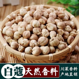 ��ޢ �׶�ޢ��ޢ�ʰ׿� ����u������ �u��ș�� ��Ȼ�����{��