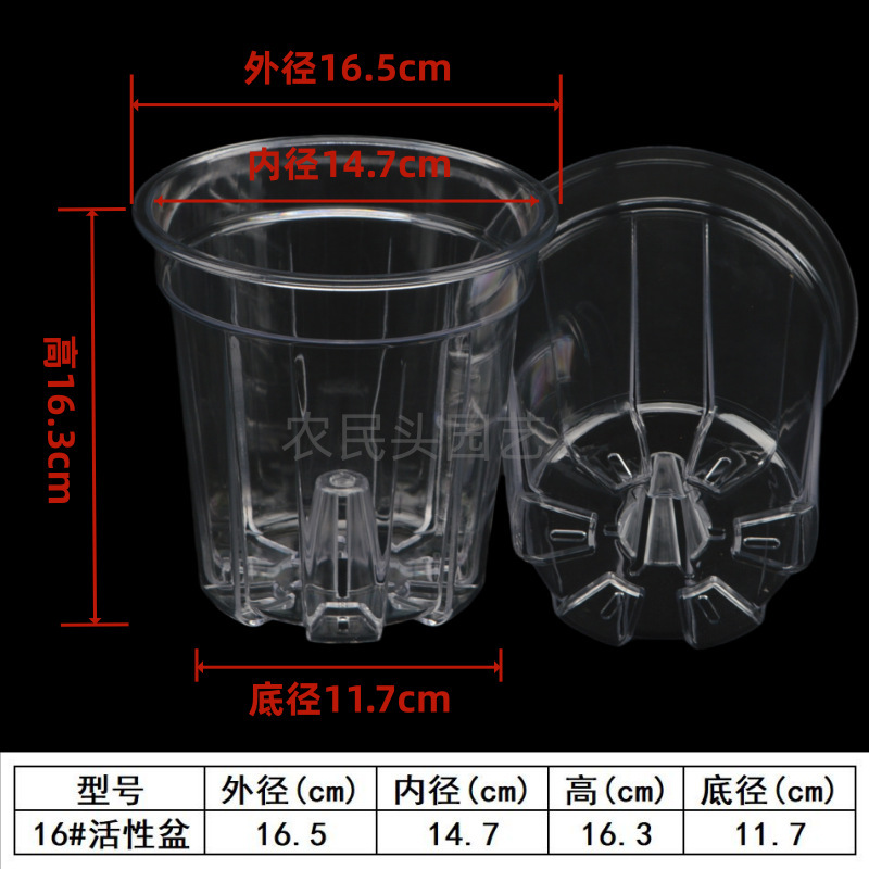 空気柱付きPC高透明活性ポット、熱植えデンドロビウム多肉植物、側穴付き根制御ポット、プラスチック胡蝶蘭ポット|undefined