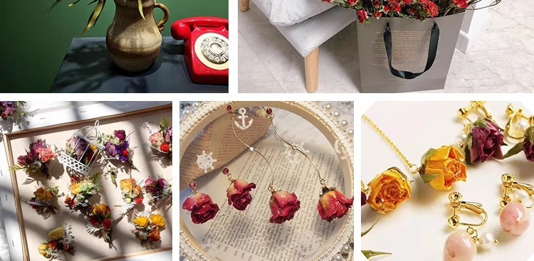 387df2f1-7362-41fa-82a1-0384bea38f8a.jpe