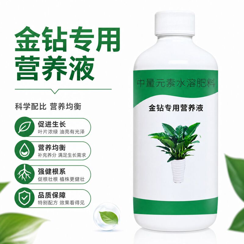 Gold Diamond Special Nutrient Liquid Fertilizer Leaves Yellow Char Tip Dry Rot Yellow Leaves Black Spots Rotten Roots Green Princess Vine Green Gold Diamond Special Nutrient Liquid Fertilizer Leaves Yellow Char Tip Dry Rot Yellow Leaves Black Spots Rotten Roots Green Princess Vine Green