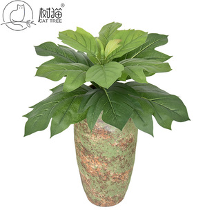 ��؈����ֲ��70cm�����Ӻ���~�ӾGֲ�٘��쾰�b��҃��Ĕz����