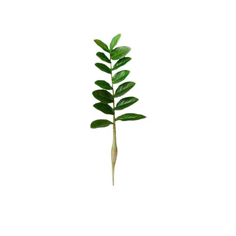 Simulación dinero hoja eucalipto pequeño árbol olla sola hoja artificial tropical verde falso árbol de simulación fortuna dinero árbol
