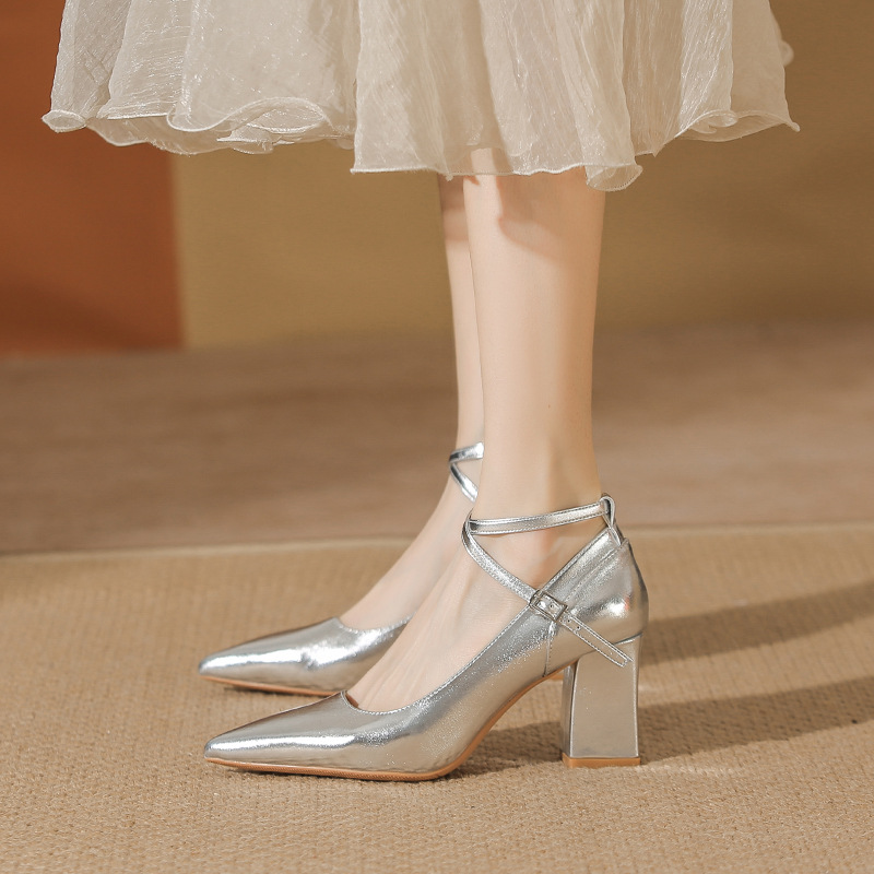 French Style silver Pointed High Heels Women's Autumn 2024 New Arrival Cross Strap with Skirt Elegant Shallow-cut Thick Heel Single-layer Shoes