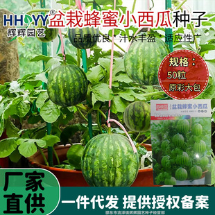 ���Է���С���ϷN�ӱ�Ƥ�o���������ϷN�Ӽ�ͥ�̨�������ϷN��