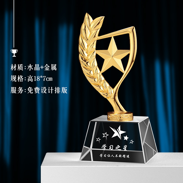 Trofeo de Cristal para Niños, Premio de Competición Infantil, Estrella de Cinco Puntas con Grabado de Metal, Regalo para Festivales y Reuniones Deportivas Estudiantiles