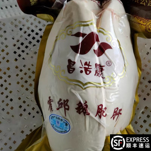 ��ʽ�Z�ʸ�A�����ʸΌ����ʳ���ʸθ߼����ͷ��;Ƶ�������