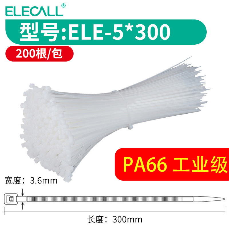 5*300 흰색 200 뿌리