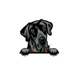 红色长毛腊肠犬汽车贴纸撕裂金属贴纸反光贴纸宠物狗贴纸3D汽车造