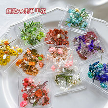 网红同款日系小清新干花彩色花瓣美甲装饰品指甲配件混装材料DIY