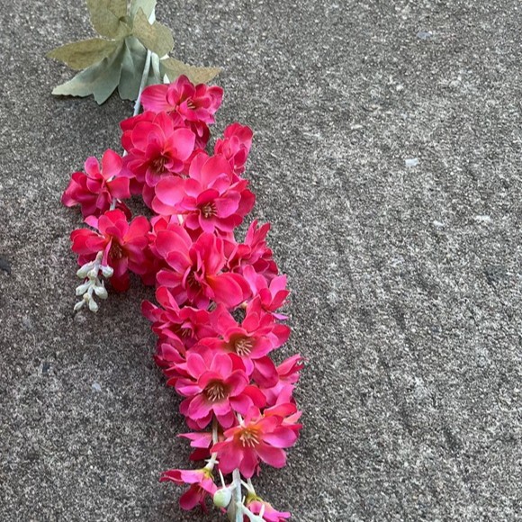 2 tenedor Delphinium Rose Red