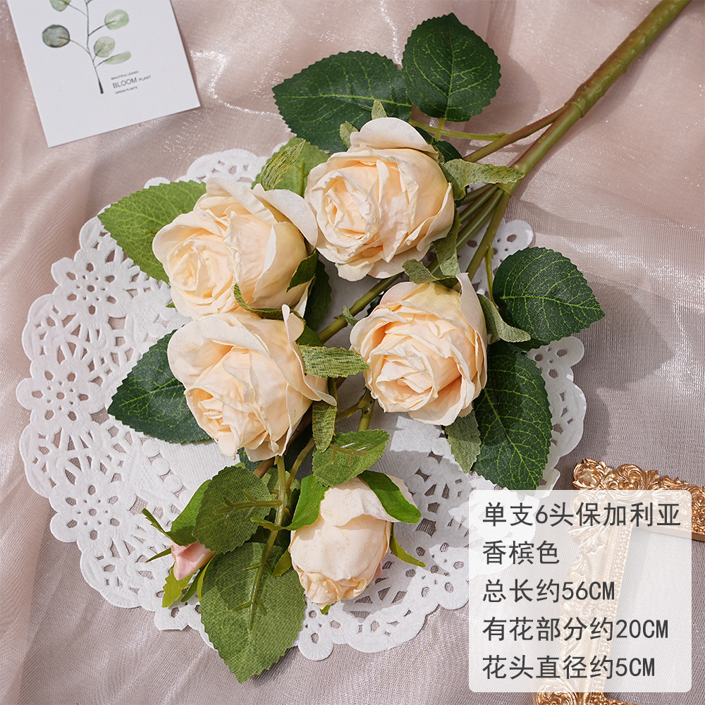 MWL-单支6头保加利亚-香槟色