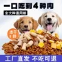 大袋金毛通用型幼犬成犬