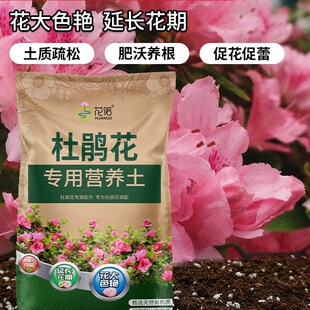 �N���N�������϶��N���I�B���B��ͨ����������������