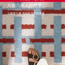 入户门地垫轻奢高级感丝圈进门门口玄关脚垫免洗可擦耐磨耐脏门垫
