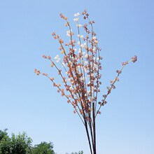 ��ɫ�L֦���m�� ���滨�ٻ��ҾӔ[�žƵ��c�zӰ�b�ܛ�b����