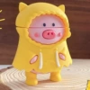 Raincoat Pig