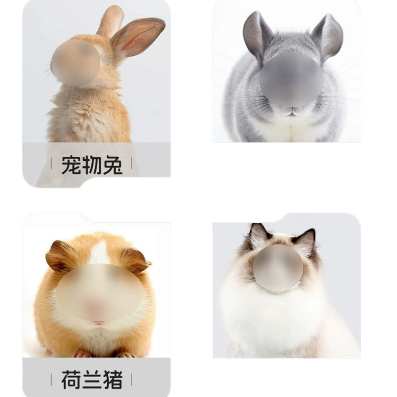 Rabbit, silicone brush for bath, pet