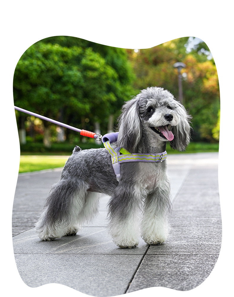Breathable T-shaped Dog Harness And Leash Set For Small Medium Dogs_voghion.com