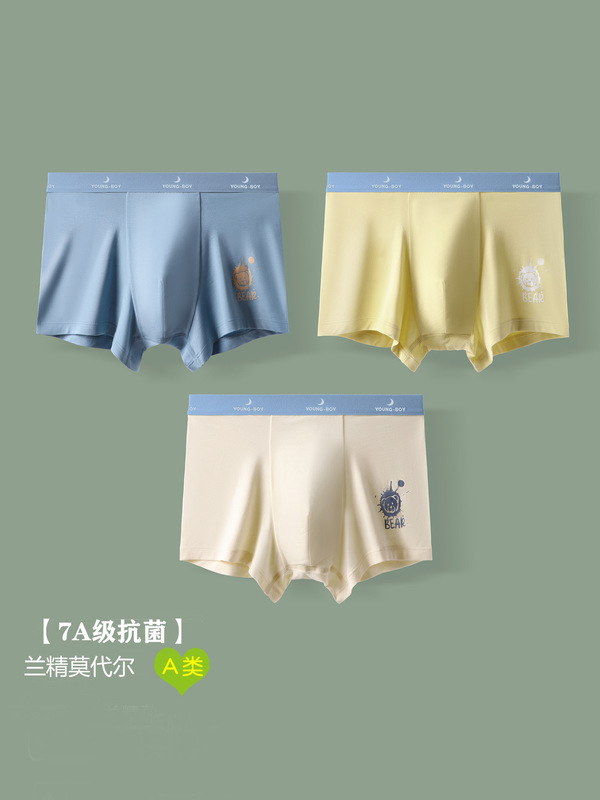 Boys' Underwear Adolescent Developmental Students Lanjing Modal Boxers Antibacterial Junior High School Students Big Children Boxers
