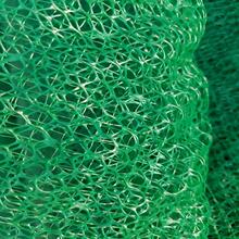 ɽ�w߅�±��o���Sֲ���W  �Gɫ�o�Έ@��ֲ�ݾW