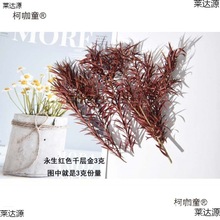 ���Qdiy�������~����~�~���~�����~�S�����~�����˱�����̫��