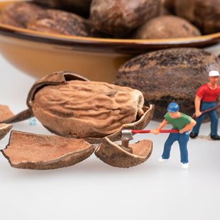 �L���500g�����������u�����������{���u���{ζƷ���ڏS�����l