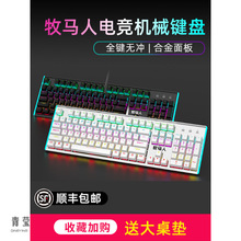 牧马人100真机械键盘有线电脑电竞游戏办公打字通用键鼠套装青轴