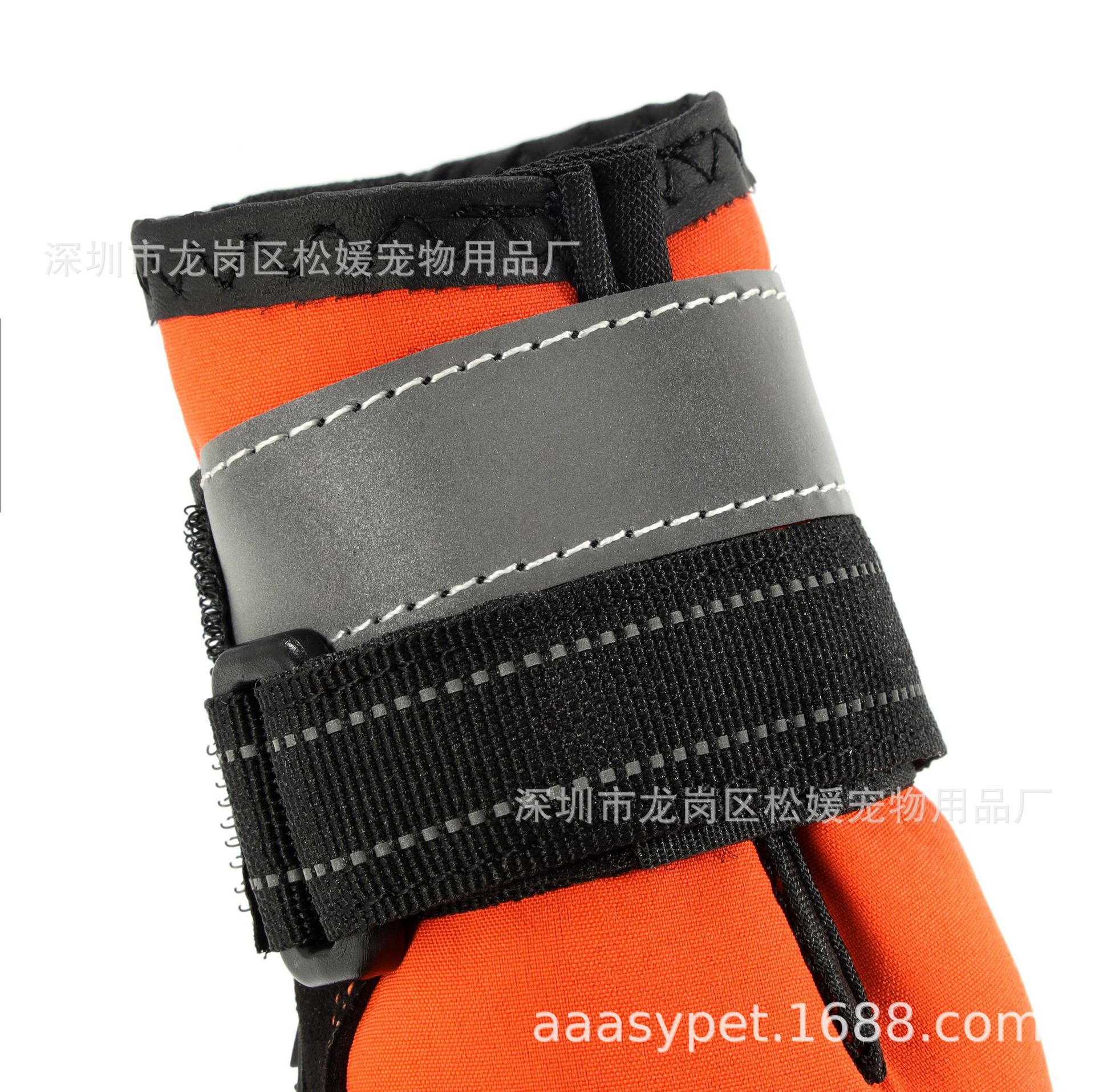 4N2A4605-.jpg