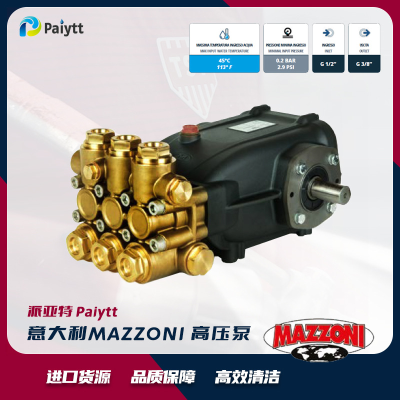 意大利进口 MAZZONI工业泵 GM系列 高压柱塞泵 清洗水泵