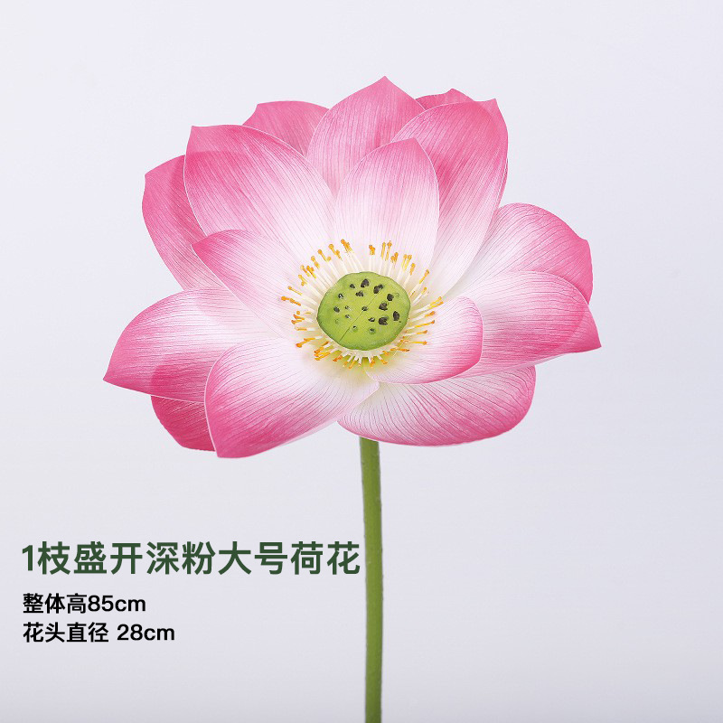 ハスの花のシミュレーション花は仏前の仏堂の蓮の花を供えて飾ります。|undefined