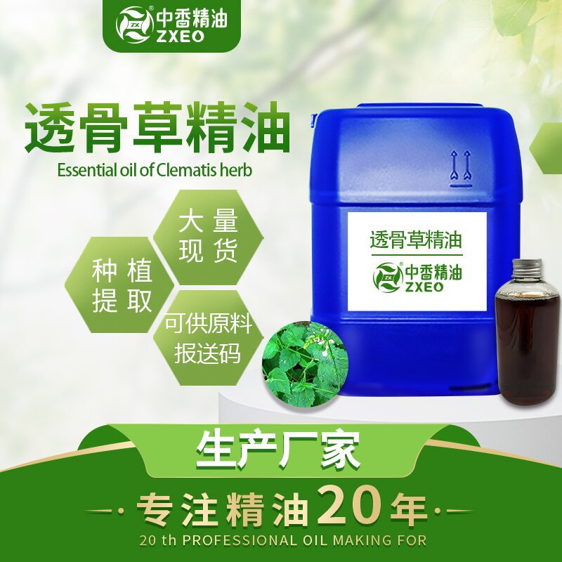 厂家直供 透骨草精油  透骨草油  批发本草油中药油