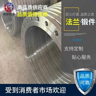 厂家供应法兰 锻造不锈钢法兰盘 大口径法兰高压对焊法兰厂家直发