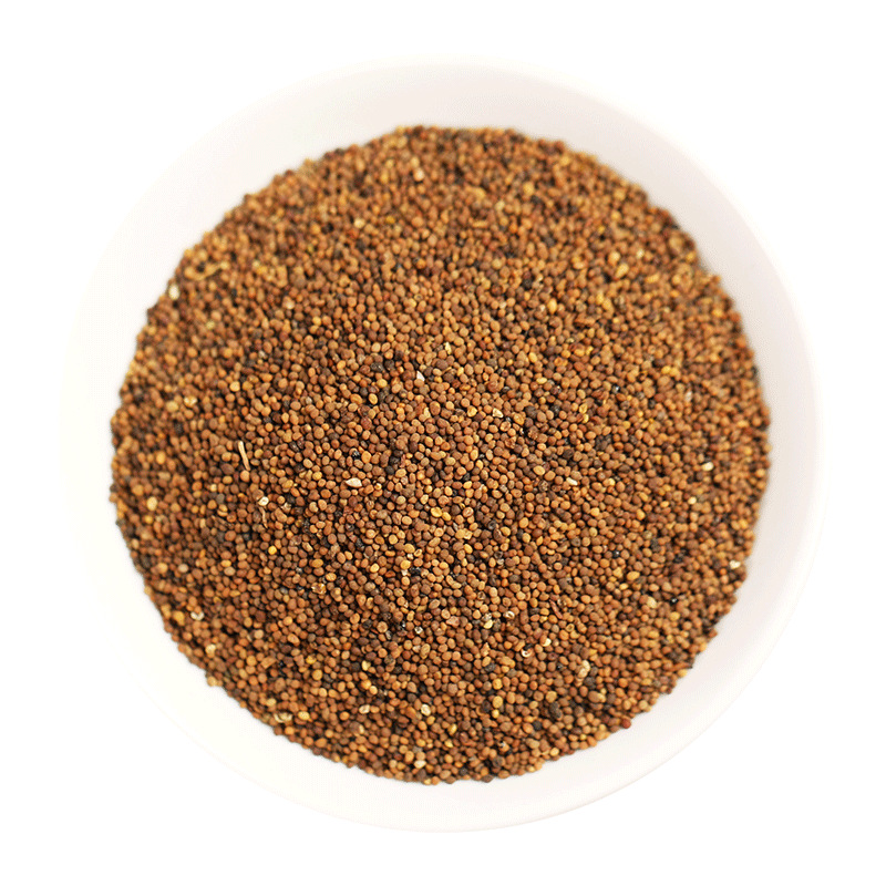 菟丝子500克水洗菟丝实兔丝子新花茶中药材代发批发搭配五味子茶