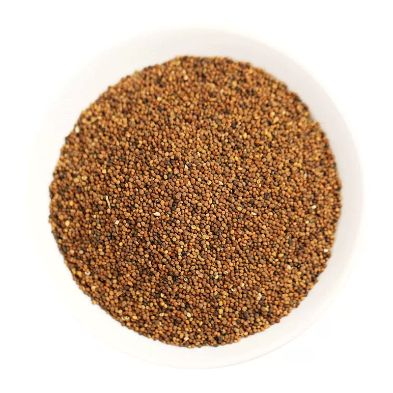 菟丝子500克水洗菟丝实兔丝子新花茶中药材代发批发搭配五味子茶