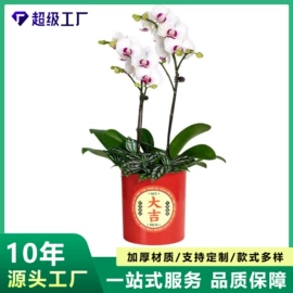 花盆容器;花盆装饰;园艺灌溉工具