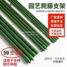 ����䓹����ټܼ�����������֧�������S�ϼܑ���ͥԺ֧��С��̫��