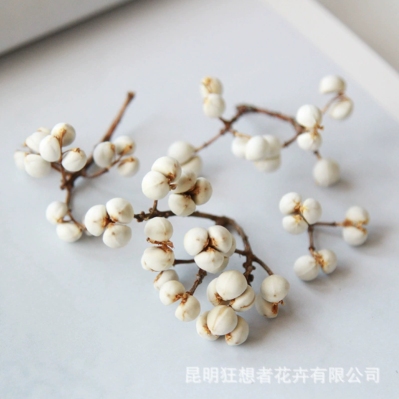 Dry Flower DIY Materials [Dry Fruit] Madman Sommelier Candle Plant Simagon Handmade Class Dry Flower Dry Branches Material