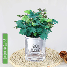 �ʺ纬�߲�С�����׃��@�WУ�҃�Ȥζ�����ļ����຦�߲��ֲ̨��