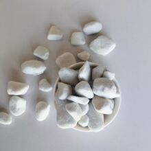 ?�F؛���l�@ˇ������w�������ұ��ط�����Û�B���m��Ӳ�|������