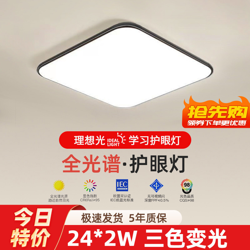 2025 新しい LED シーリングランプルームベッドルームランプリビングルームランプホールモダンシンプルな雰囲気中山ランプ|undefined