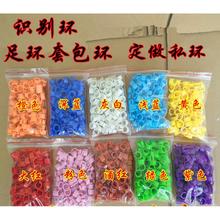鸽子脚环信鸽用品肉鸽记号环数字塑料卡环识别环足环批发电子环