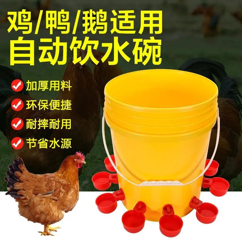 鸡用自动饮水器鸡鸭鹅饮水碗喝水碗鹌鹑家禽饮水器雏鸡鸭鸟饮水器|undefined