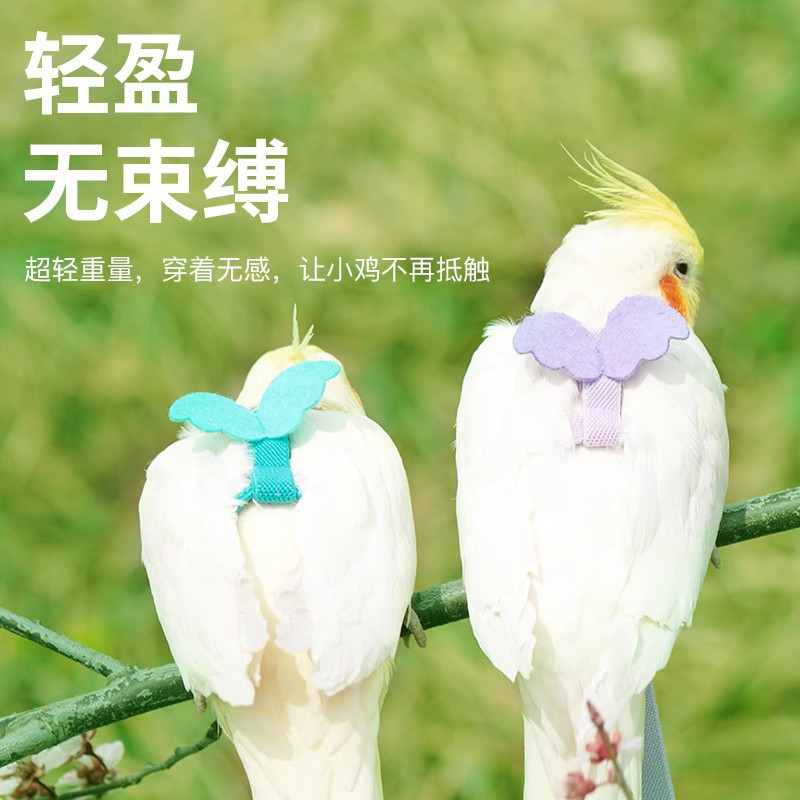 Bird parrot flying rope Xuanfeng tiger skin peony traction rope flying out strap walking bird artifact supplies toys