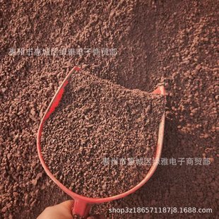 ��Ȼ�t���w�����ԷN���������辰��Ǥ���ЙC�����Nֲ�t���ɽ�t��