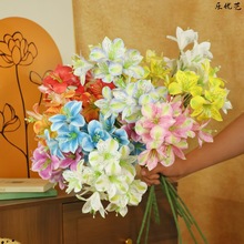�¿�3��12�^Сˮ�ɰٺ� ������@�L�ҾӔ[���Ĕz���ߙ���չʾ��c