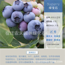 {{ݮmԹm{÷m{ݮ{ʯϱNֲԭl؛