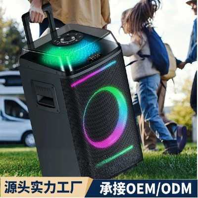 10inch Outdoor Portable Bluetooth Speaker with Microphone Ktv Square Dance Mobile Trolley Party Speaker Rbg 10inch Outdoor Portable Bluetooth Speaker with Microphone Ktv Square Dance Mobile Trolley Party Speaker Rbg